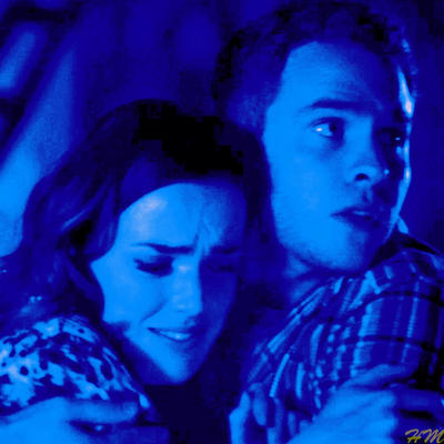 FitzSimmons Icon 2.10