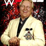 Bobby The Brain Heenan - WWE 2K22