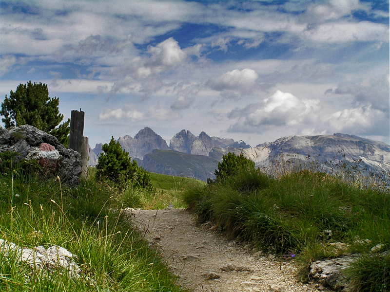 Daydreaming on the path