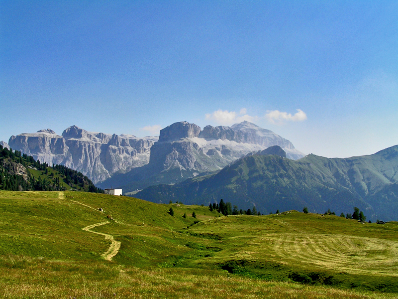 On the Ciampac meadows