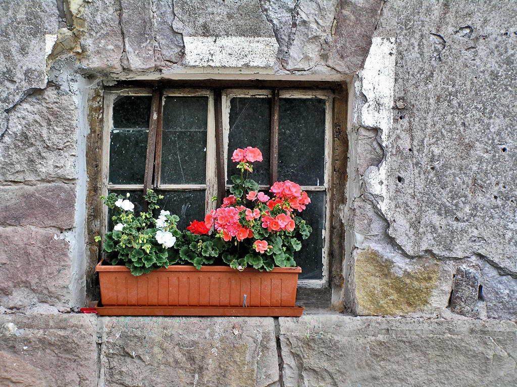Clue Window Deviantart A window by edelweiss26 on DeviantArt