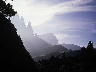  Towers against the light