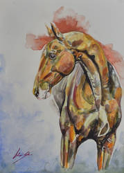 Watercolor Horse