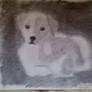 puppy_charcoal