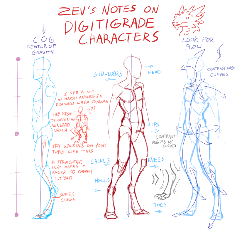 Notes on Digitigrade Characters