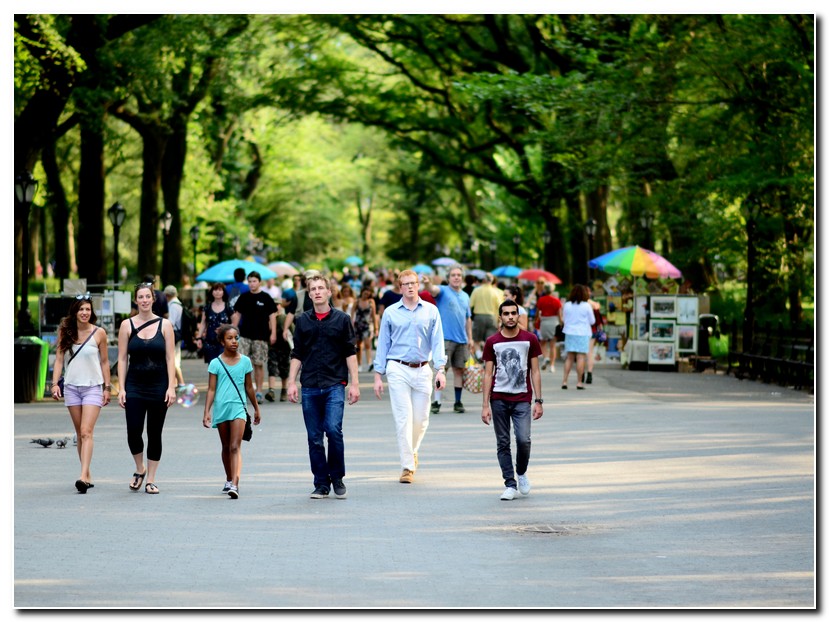 Central Park, New York