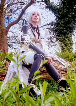 Kamael cosplay -Lineage II