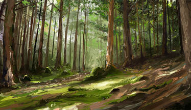 Pine forest - study