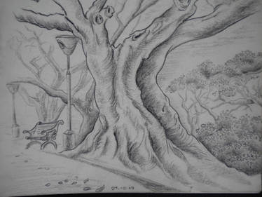 tree study