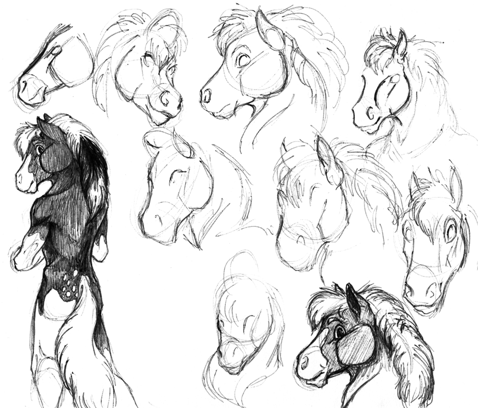 Anthro Pony