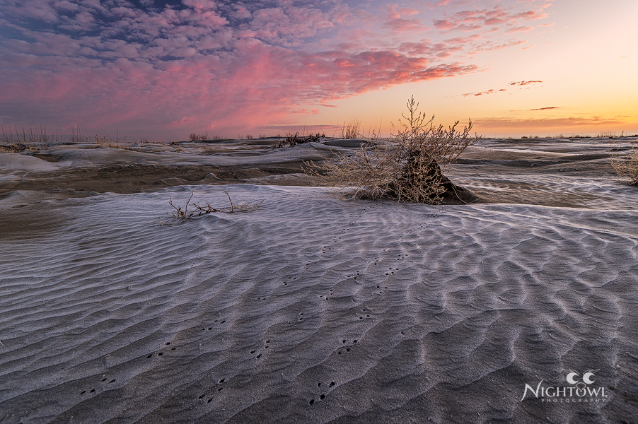 Frosty Sand 2