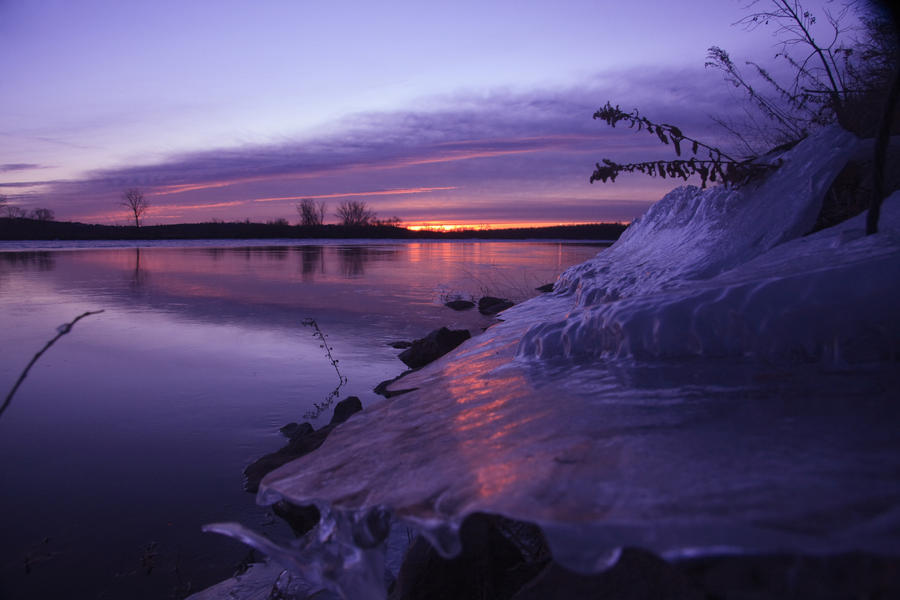 purple reflecting pink