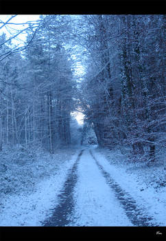 forestroad