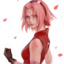 Sakura Haruno