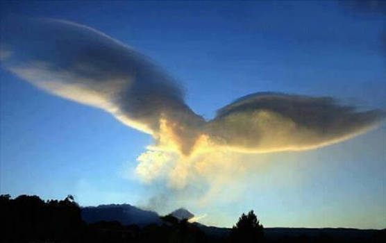 Thunder Bird Cloud