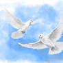 Doves