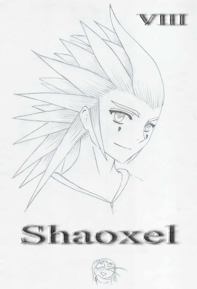 Cross-overs: 'Shaoxel' VIII