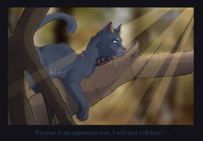 Bluestar's Wisdom