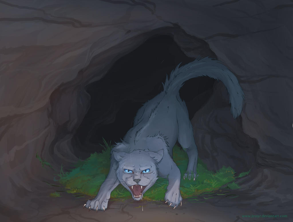 Включи кота пещеру. Пещера целителя коты Воители. Коты Воители пещера синей звезды. Палатка целителя коты Воители. Коты Воители пещера предводителя.
