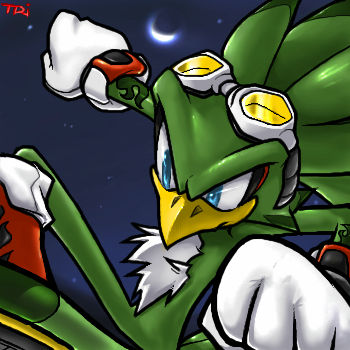 Sonic Riders Rave 05032006_SONIC RIDERS.Jet by SonicRave on DeviantArt