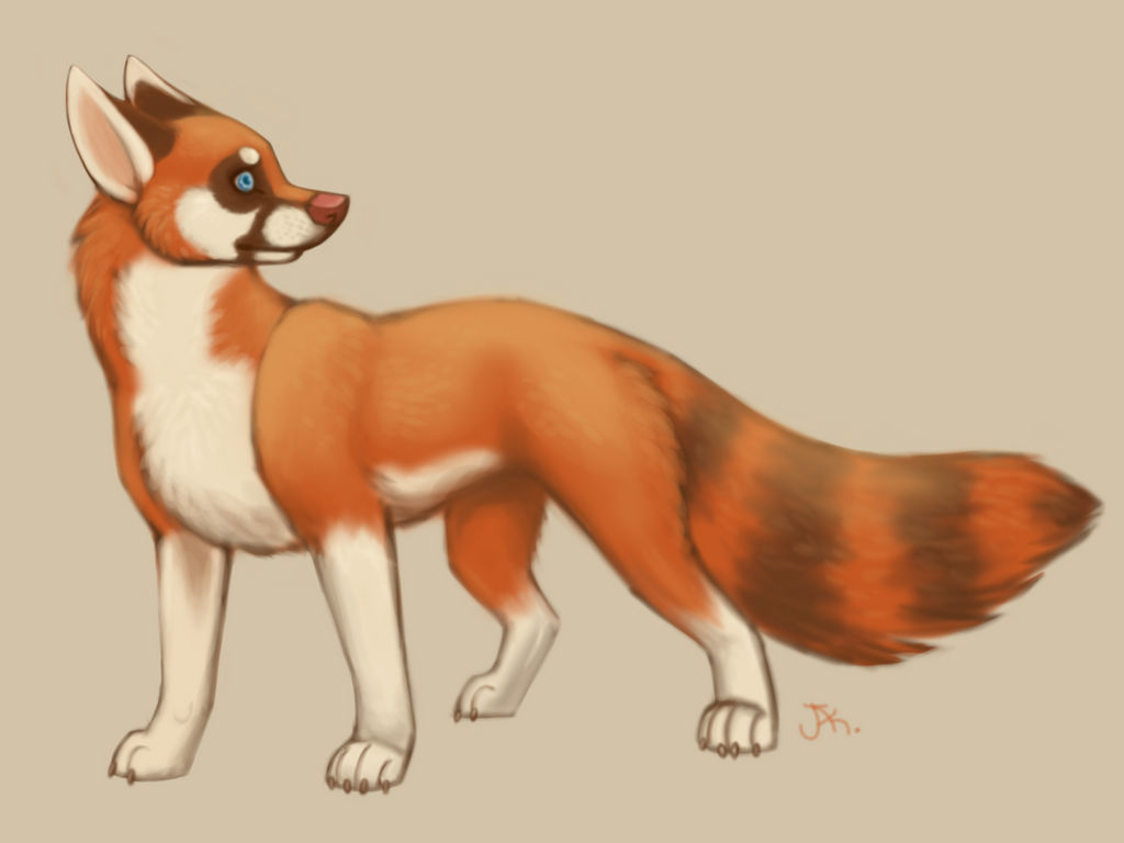 Red Panda/Wolf by ElectricRainbowBlood on DeviantArt