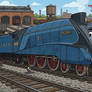 TrainToonz - Mallard Blue