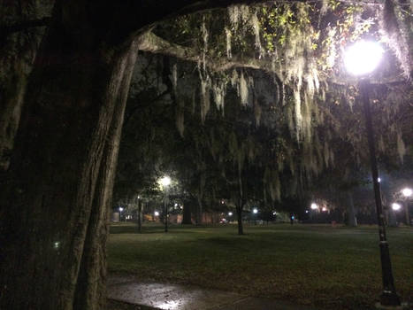 Campus at night