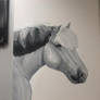 Fjordhorse painting