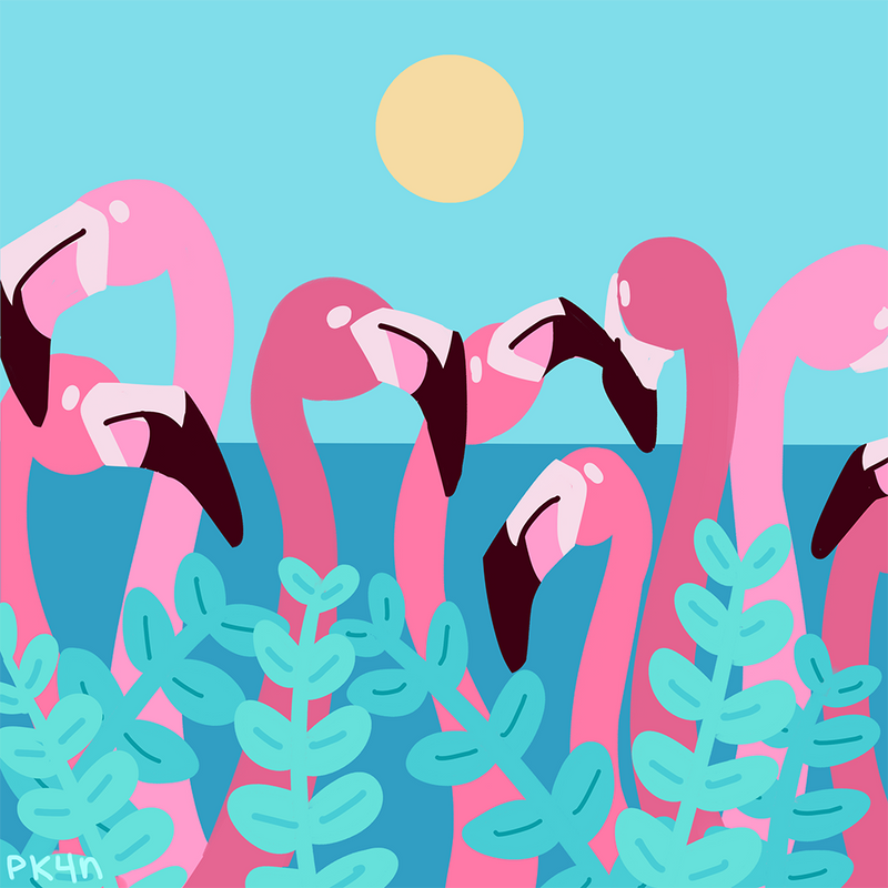 Flamingoes by pk4n