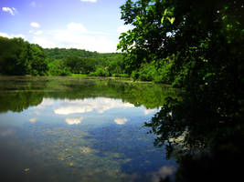 Day At The Lake