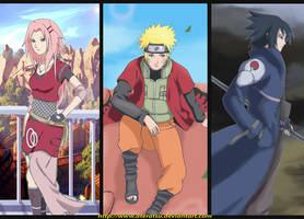 Team 7