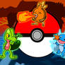 Hoenn Starters