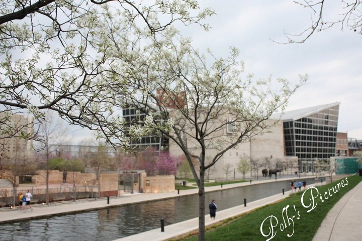 Flowers Around the Canal