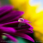 Crystal ball by aka-photography-uk