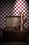 Polka by aka-photography-uk
