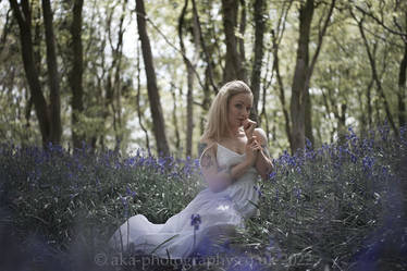 Pixie in Bluebells