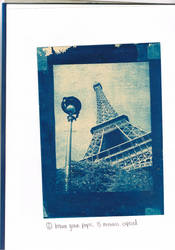 Cyanotype 1