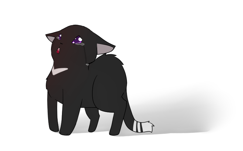 Ravenpaw