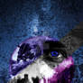 Perception Askew 2