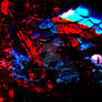 Serpent of Tesseract