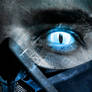 Sub Zero