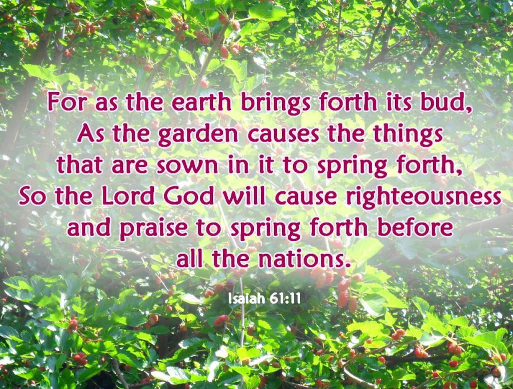 Isaiah 61 11 By PsalmSevenBooks On DeviantArt isaiah-61-11-by-psalmsevenbooks-on-deviantart