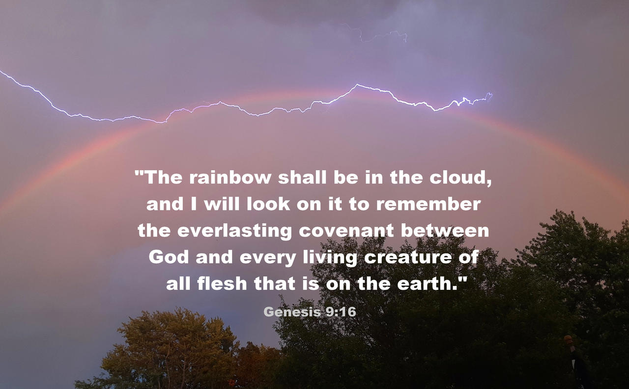 Genesis 9 16 Genesis 9 16