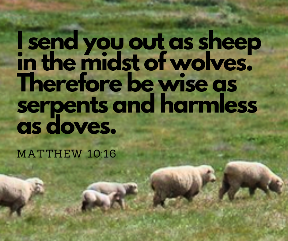 Matthew 10:16 by PsalmSevenBooks on DeviantArt
