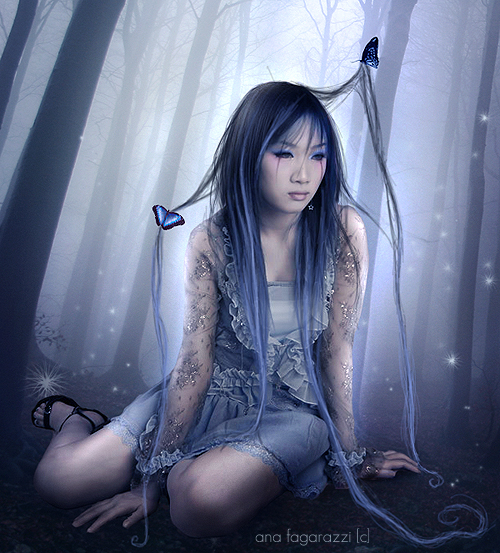 night butterflies by AF-studios