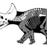 Ostrom's Triceratops