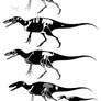 Megaraptoran series