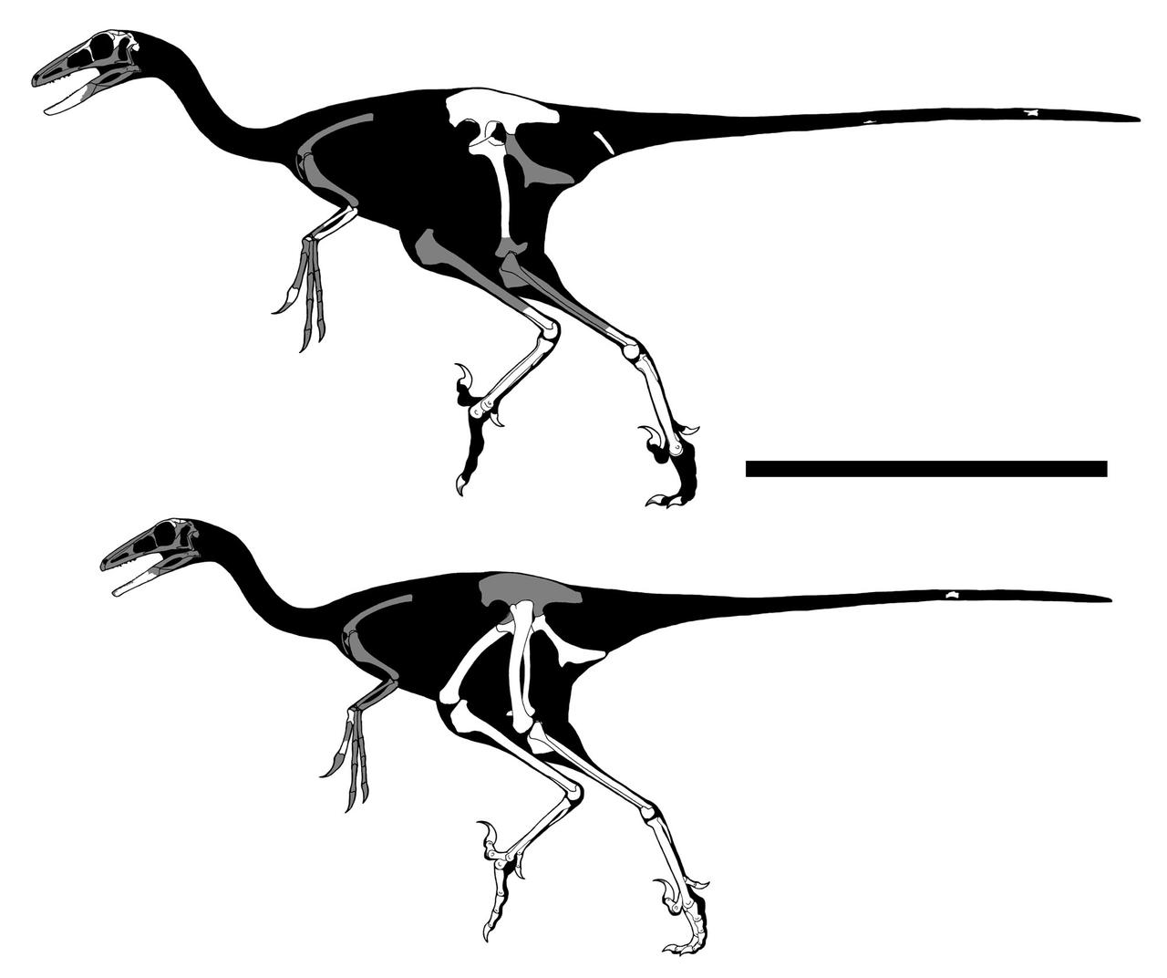 Bye-bye, Troodon. by GetAwayTrike on DeviantArt