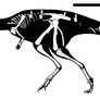 Troodon validus