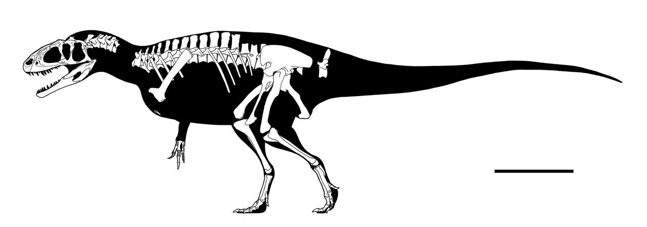 Dzungarian metriacanthosaur by GetAwayTrike on DeviantArt